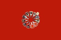 新邵县回收红酒